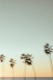 La Jolla Coastal Postcard Collection (Set of 4)