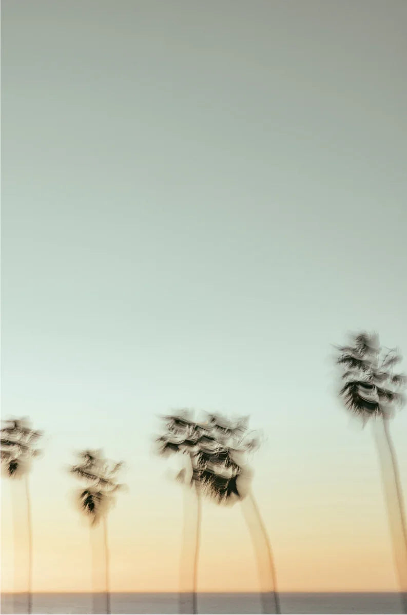 La Jolla Coastal Postcard Collection (Set of 4)