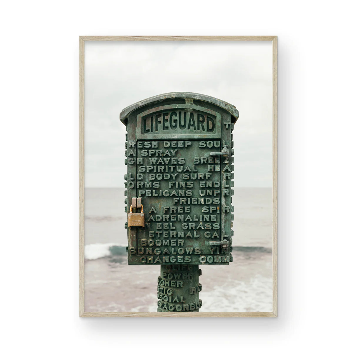 The Lifeguard