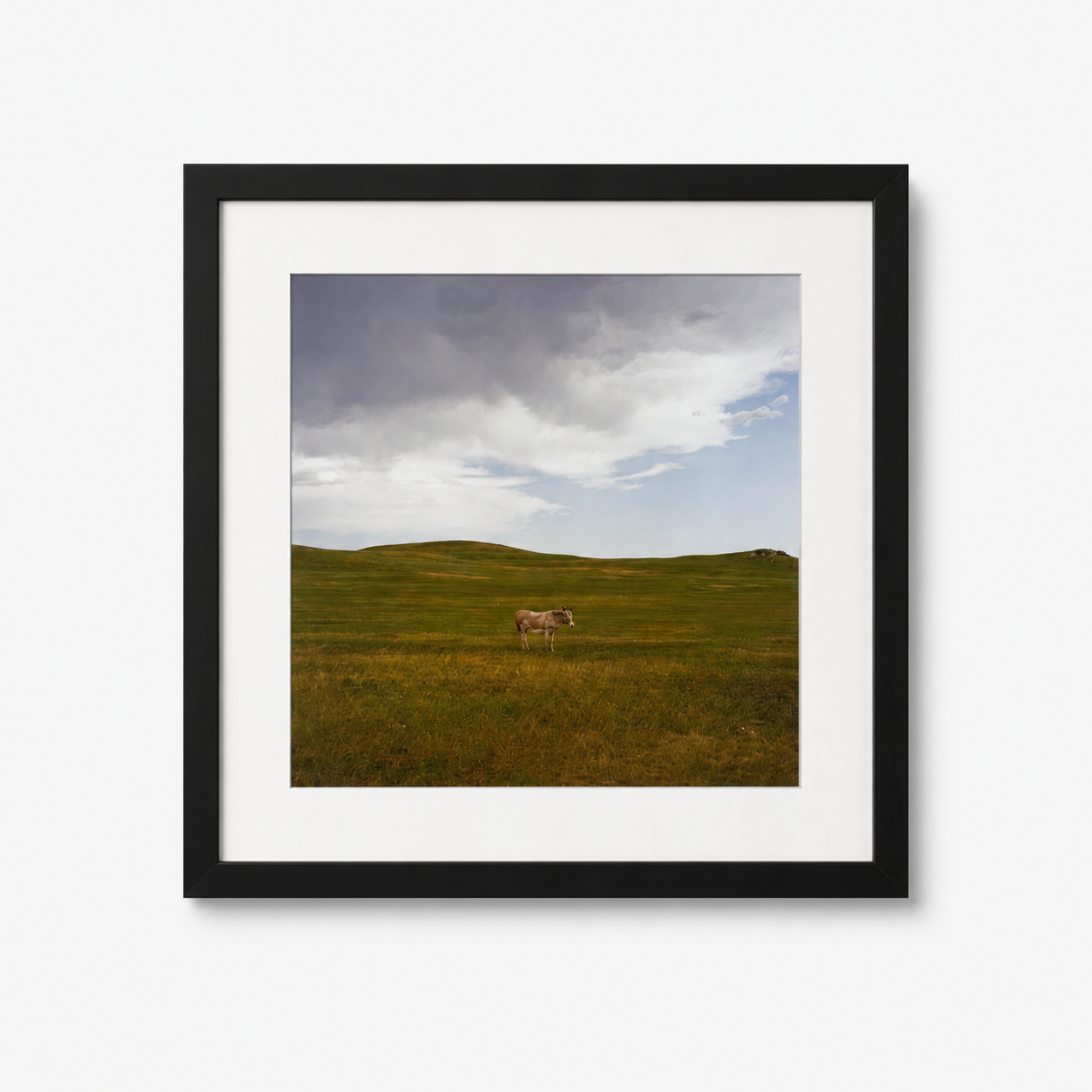 "Untitled"
