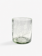 Hand-etched Blown Tumbler Glass