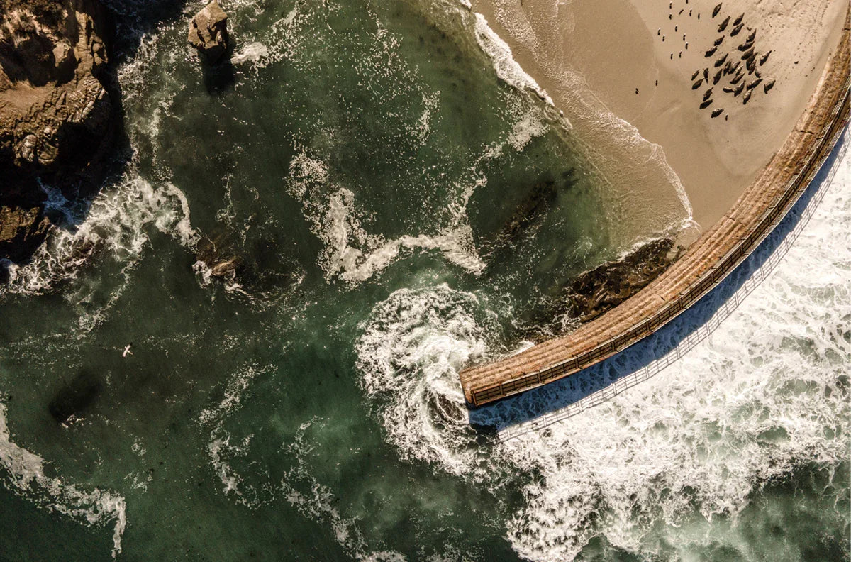 La Jolla Coastal Postcard Collection (Set of 4)