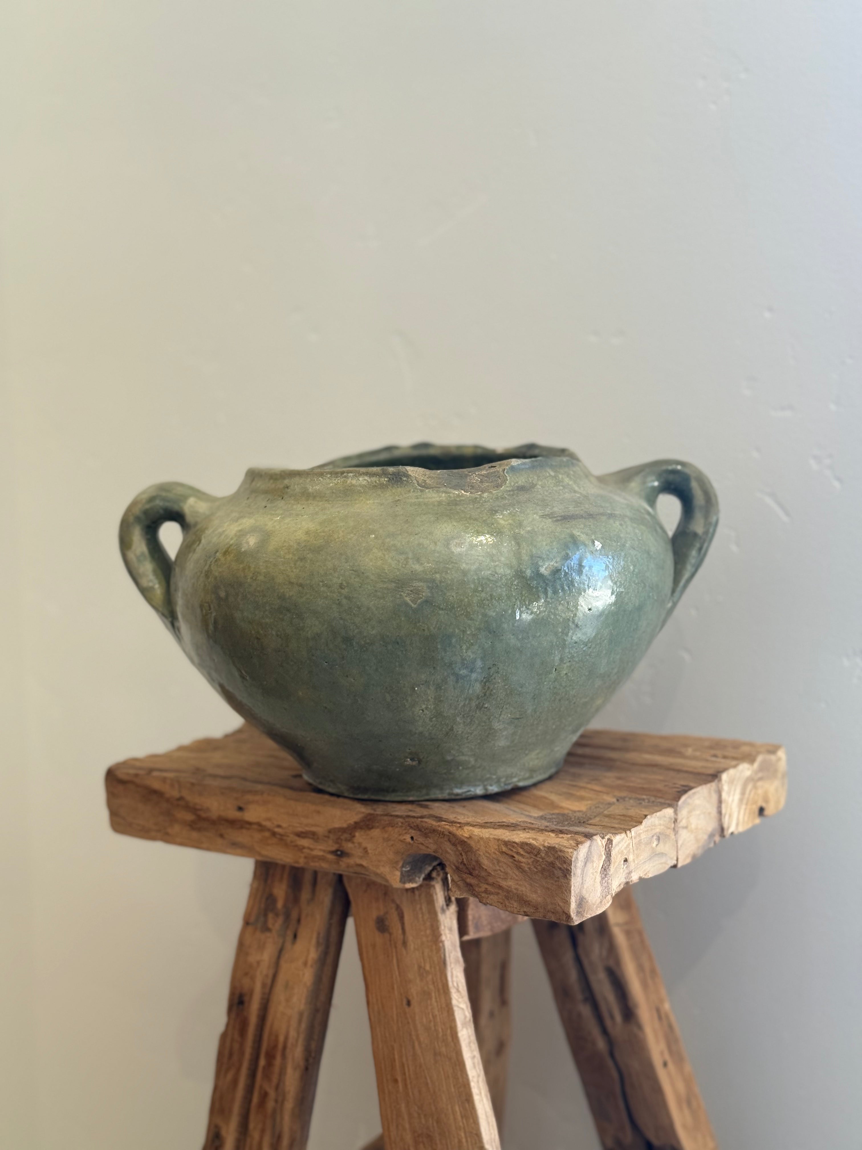 Hungarian Sage Dune Pot