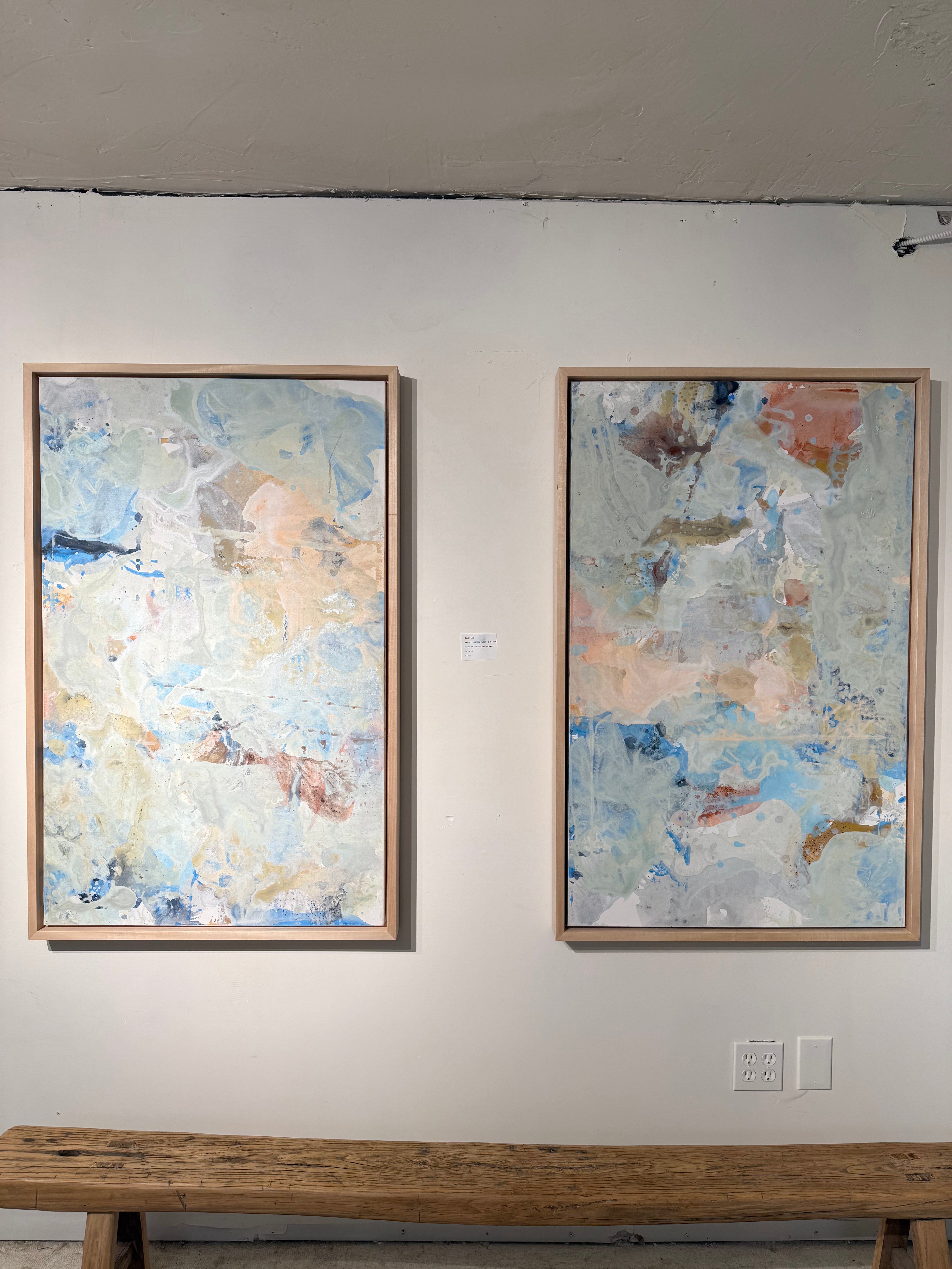 Brief Consciousness - Diptych
