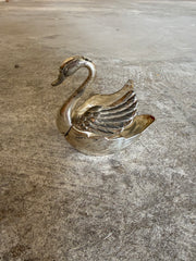 Silver Swan