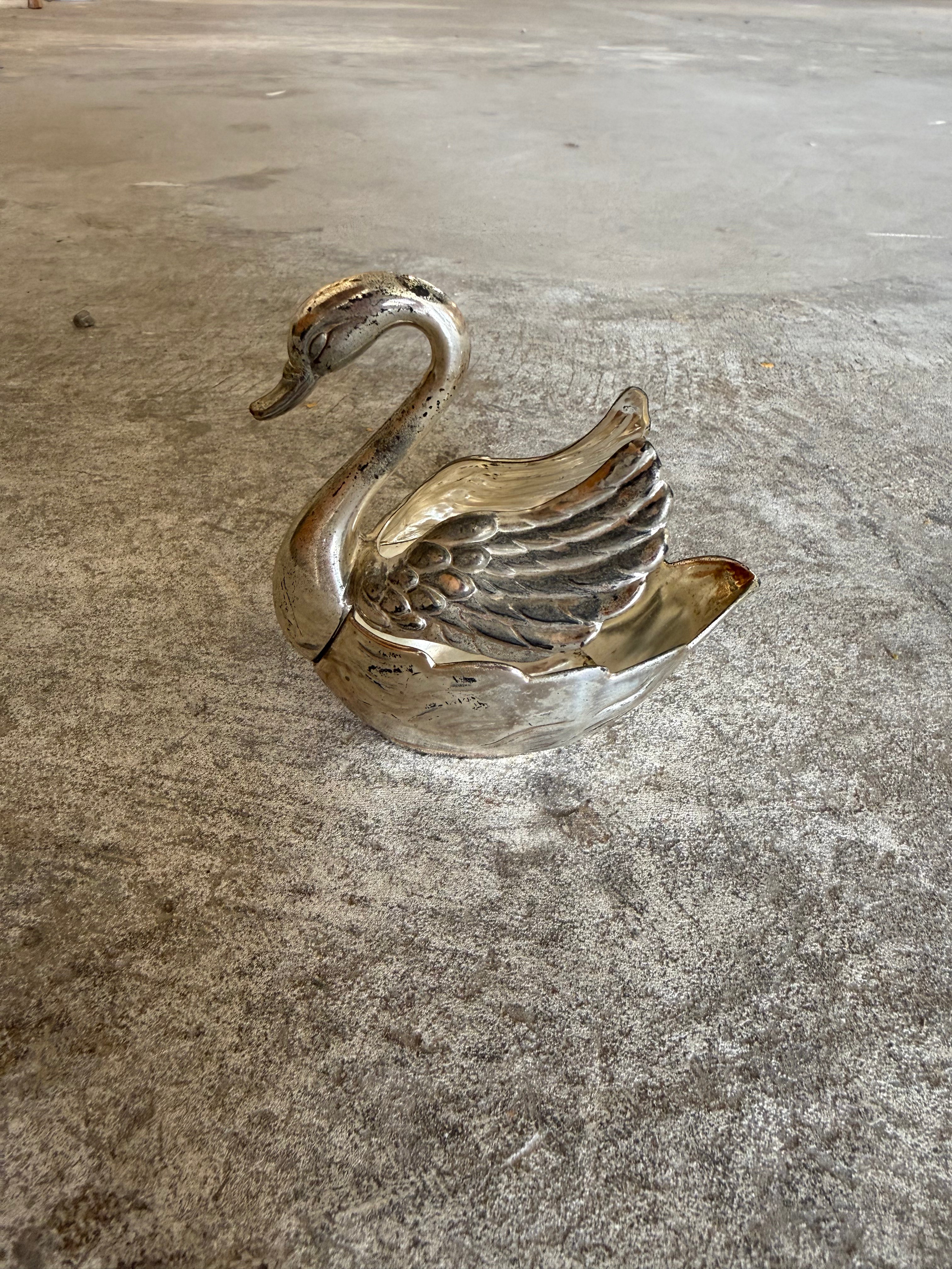 Silver Swan