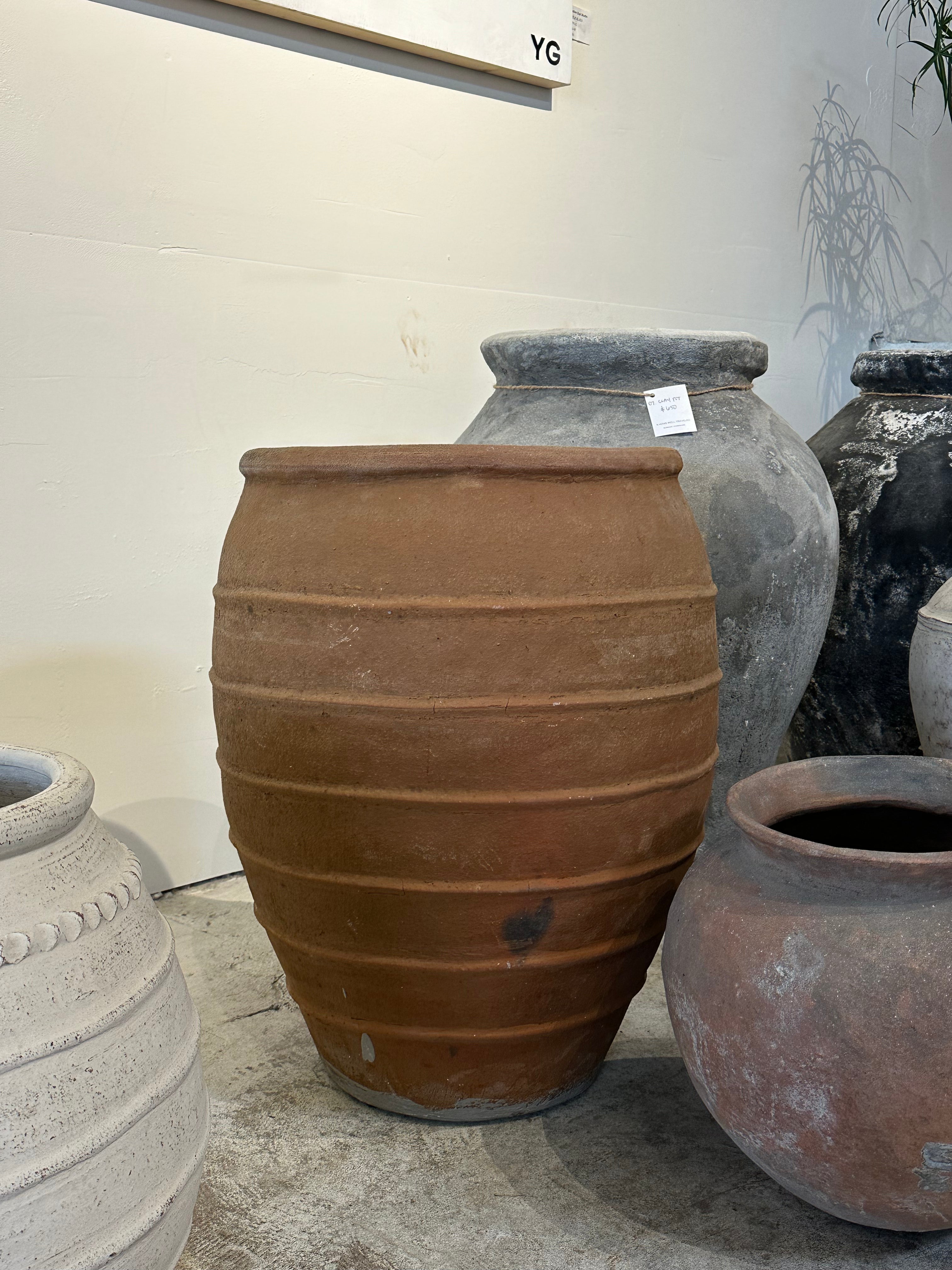 Terracotta Wide Neck Pot