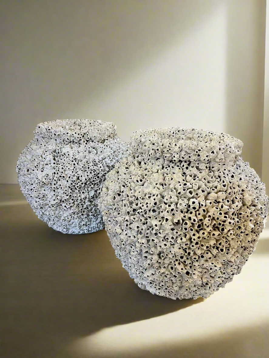 Barnacle Pot