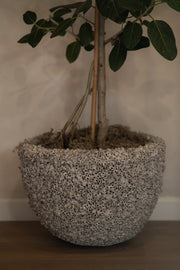 Coral Barnacle Planter Large