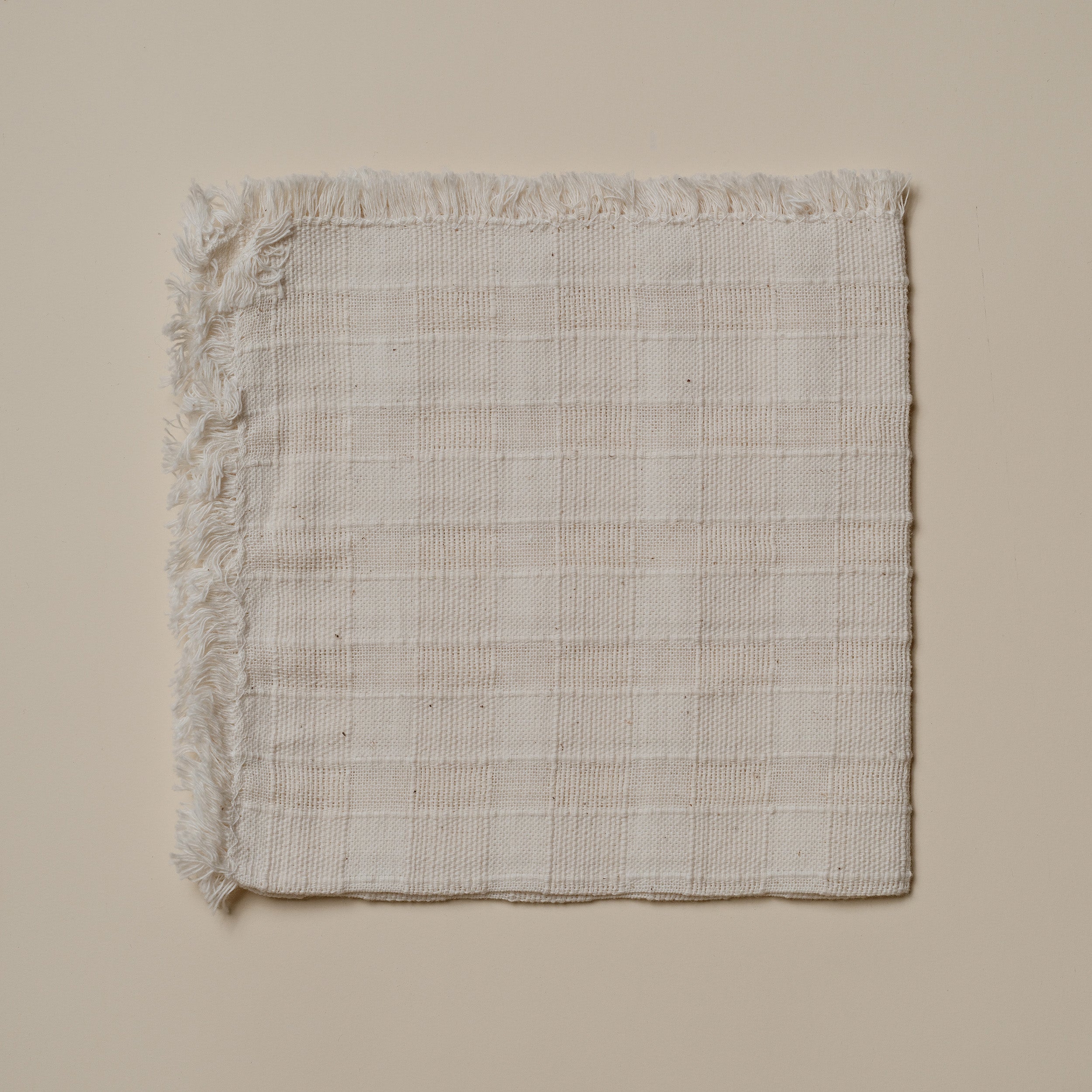 Cloth Napkin