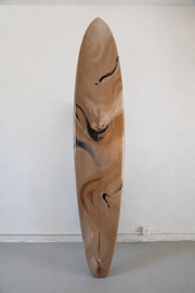 The Darrilyn Surfboard
