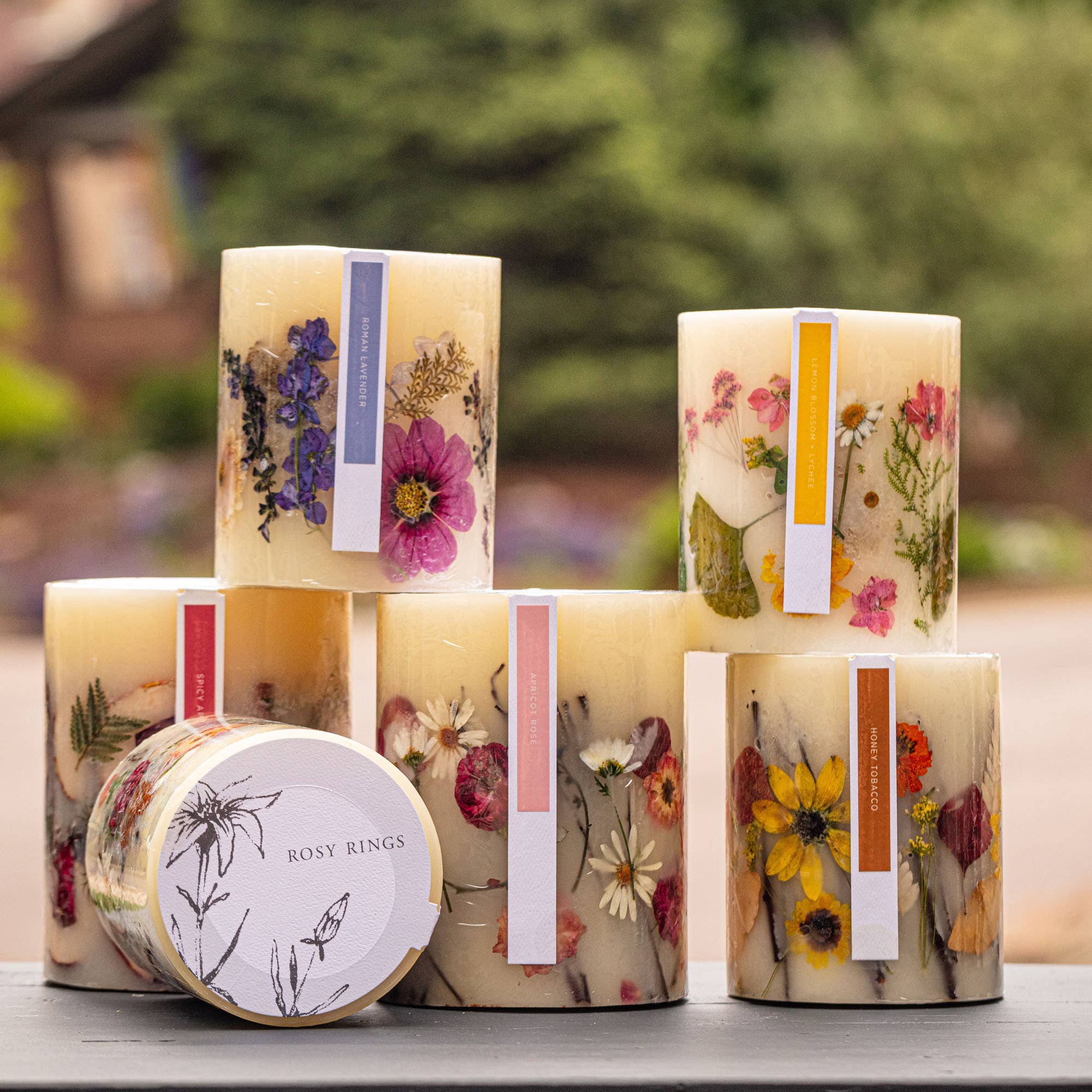 Spicy Apple Medium Round Botanical Candle