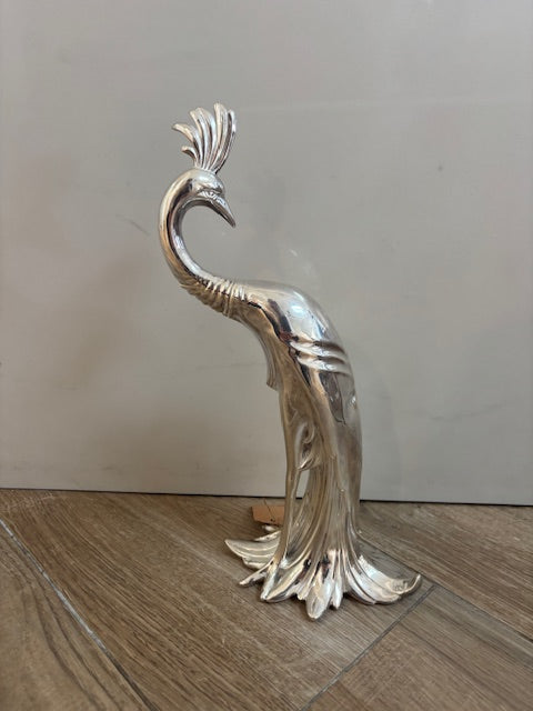 Silver Peacock